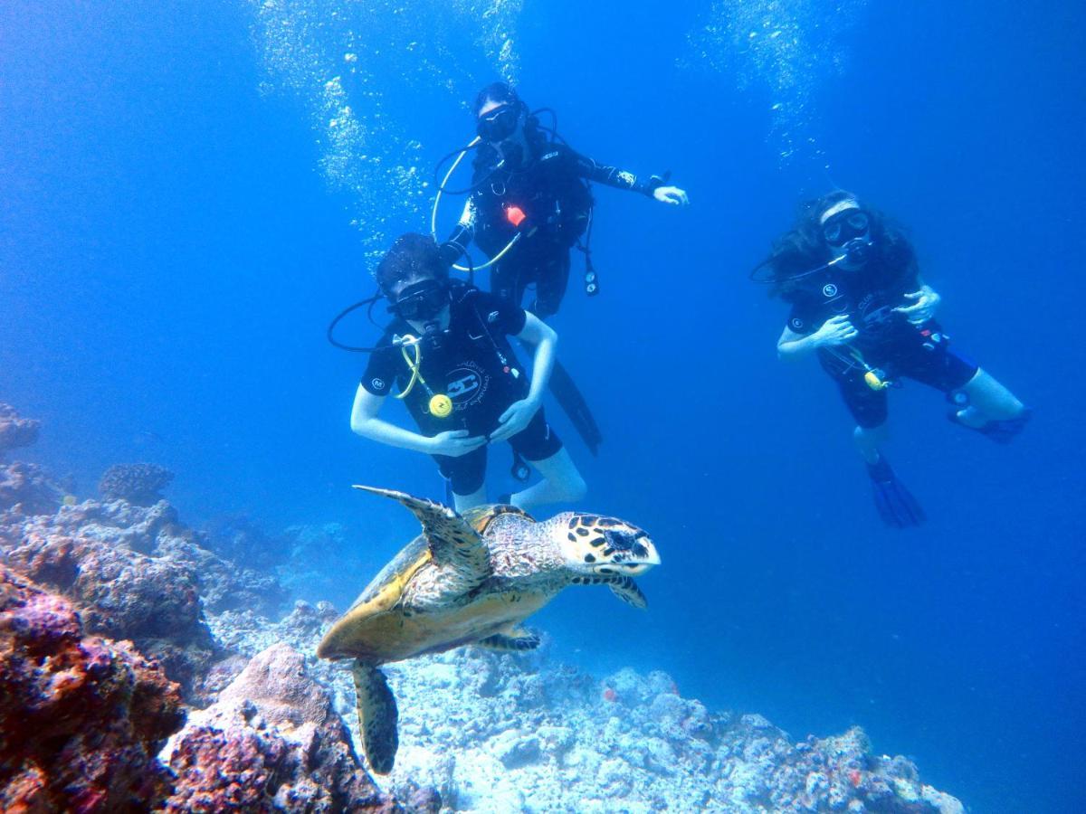 Furaveri Maldives Meedhoo  Esterno foto Scuba divers with a hawksbill turtle